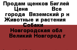 Продам щенков Биглей › Цена ­ 15 000 - Все города, Вяземский р-н Животные и растения » Собаки   . Новгородская обл.,Великий Новгород г.